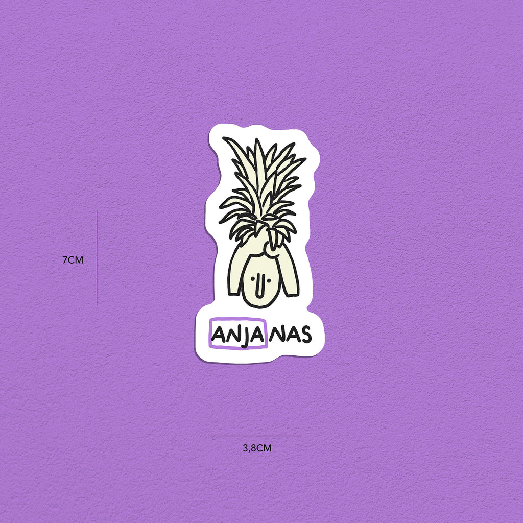 Spitznamen Anja, Stickerset, 8er