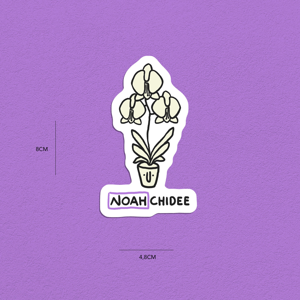Spitznamen Noah, Stickerset, 8er